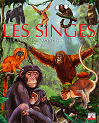 SINGES (LES)