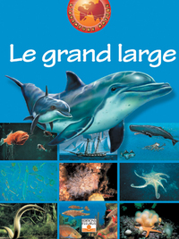 GRAND LARGE (LE)