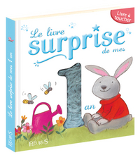 LIVRE SURPRISE DE MES 1 AN (LE)