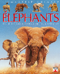 ELEPHANTS (LES)