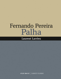 FERNANDO PEREIRA PALHA