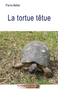 La Tortue Têtue