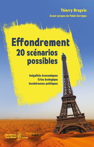 EFFONDREMENT : 20 SCENARIOS POSSIBLES - INEGALITES ECONOMIQUES, CRISE ECOLOGIQUE, INCOHERENCES POLIT