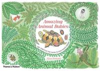 Amazing Animal Babies: Lift the Layers and see the Secrets Inside! /anglais