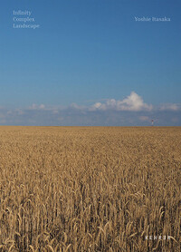 Infinity Complex Landscape