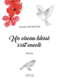 UN OISEAU BLESSE S'EST ENVOLE