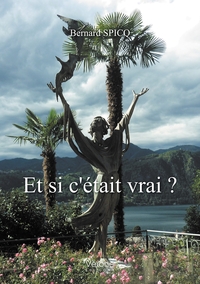 ET SI C'ETAIT VRAI ?