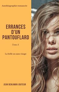 Errances d'un pantouflard - Tome 3 -