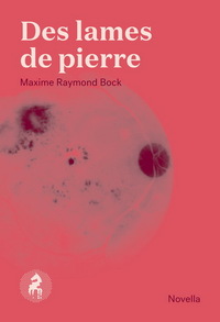 DES LAMES DE PIERRE