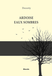 ARDOISE EAUX SOMBRES