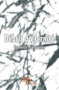 Débris d'éternité