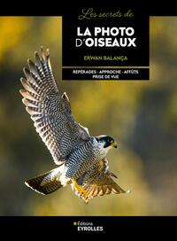 Les secrets de la photo d'oiseaux