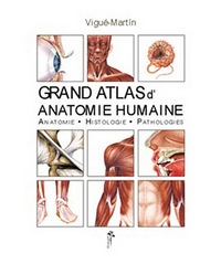 Grand atlas d'anatomie humaine - anatomie, histologie, pathologies