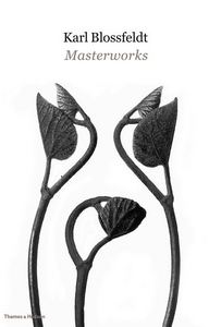 KARL BLOSSFELDT MASTERWORKS /ANGLAIS