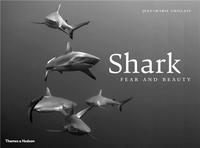Shark Fear & Beauty /anglais
