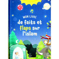 MON LIVRE DE FAITS ET FLAPS SU