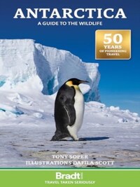 ANTARCTICA WILDLIFE