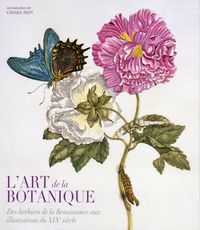 L'ART DA LA BOTANIQUE - DES HERBIERS DE LA RENAISSANCE AUX ILLUSTRATIONS DU XIXE SIECLE