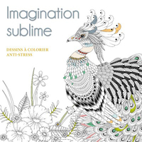 IMAGINATION SUBLIME - DESSINS A COLORIER ANTI-STRESS