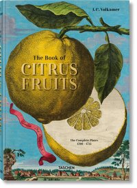 J. C. VOLKAMER. THE BOOK OF CITRUS FRUITS - EDITION MULTILINGUE