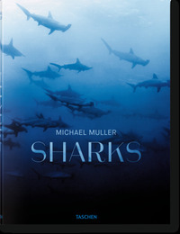 MICHAEL MULLER. SHARKS