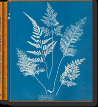 ANNA ATKINS. CYANOTYPES - EDITION MULTILINGUE