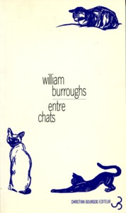 Entre chats