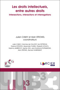 Les droits intellectuels, entre autres droits: intersections, interactions et interrogations