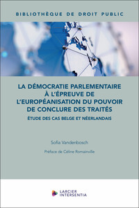 LA DEMOCRATIE PARLEMENTAIRE A L'EPREUVE DE L'EUROPEANISATION DU POUVOIR DE CONCLURE DES TRAITES - ET