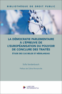 LA DEMOCRATIE PARLEMENTAIRE A L'EPREUVE DE L'EUROPEANISATION DU POUVOIR DE CONCLURE DES TRAITES - ET