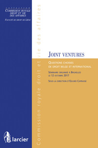 LES JOINT VENTURES