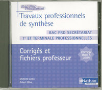 TRAVAUX PROFESSIONNELS DE SYNTHESE 1ERE ET TERM PROFESSIONNELLES - BAC PRO SECRETARIAT (BAC PRO TRAN