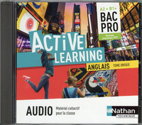 Active Learning, Niveau A2 > B1+ Bac Pro, Coffret CD classe