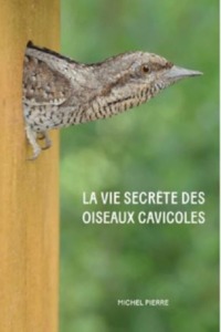 LA VIE SECRETE DES OISEAUX CAVICOLES