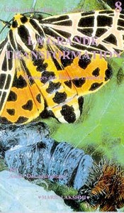 Halo ... la Terre ? - T.8 - Gde transform.