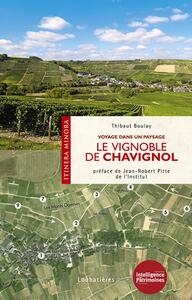 LE VIGNOBLE DE CHAVIGNOL - VOYAGE DANS UN PAYSAGE