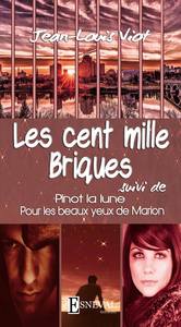 LES CENT MILLE BRIQUES