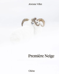 Première neige