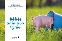 CALENDRIER 52 SEMAINES BEBES ANIMAUX RIGOLOS