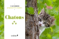 CALENDRIER 52 SEMAINES CHATONS