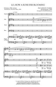 ARR. HAROLD ROSENBAUM: LO, HOW A ROSE E'ER BLOOMING CHANT