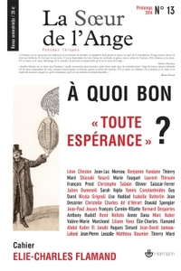La Soeur de l'Ange n°13
