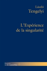 L'EXPERIENCE DE LA SINGULARITE - ESSAIS PHILOSOPHIQUES, VOLUME 2