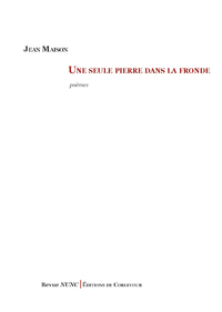 UNE SEULE PIERRE DANS LA FRONDE