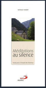 MEDITATIONS AU SILENCE