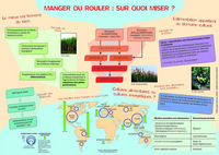 MANGER OU ROULER, SUR QUOI MISER ? : BIOCARBURANTS