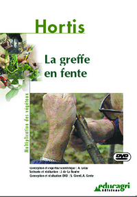 Greffe en fente (La)