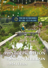 Phytoépuration de Saint-Herblain à Matéura