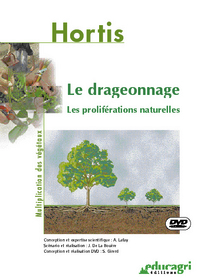 Drageonnage, les proliférations naturelles
