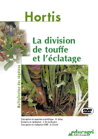 Division de touffe et l'éclatage